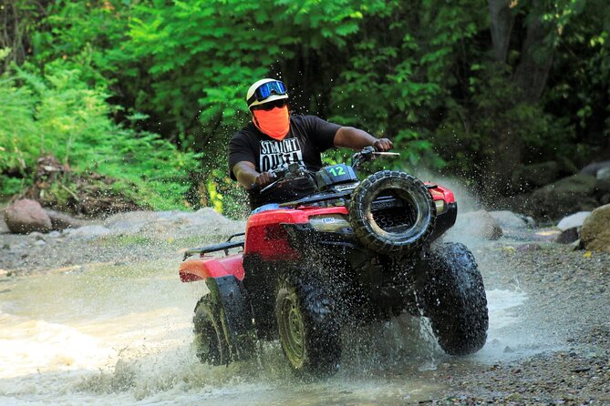 Puerto Vallarta Jungle Tour or RZR + Tequila - Rancho Las Vegas Stop: Food, Hammocks, and a Place to Land