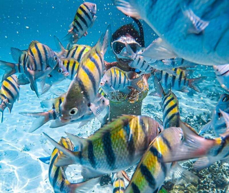 Puerto Vallarta: Los Arcos Islands Boat Tour and Snorkeling - Taking the bus to Mismaloya: part of the adventure, part of the hassle