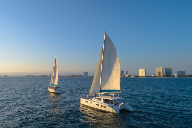 Puerto Vallarta Luxury Sailing with Premium Open bar & lunch - Wildlife spotting: how to think about whales and dolphins