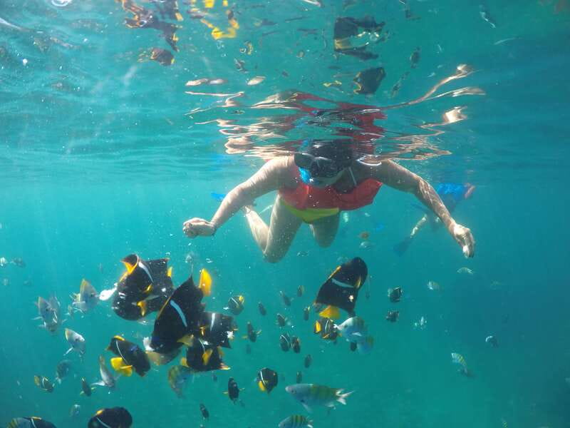 Puerto Vallarta: Luxury Yacht Tour with Lunch and Open Bar - The Bay of Banderas cruise: views, speed, and real ocean time
