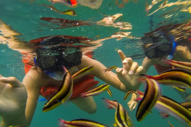 Puerto Vallarta: Marietas Islands with Open Bar and Food - Hidden Beach: worth it only if you’re ready for the swim and the extra cost