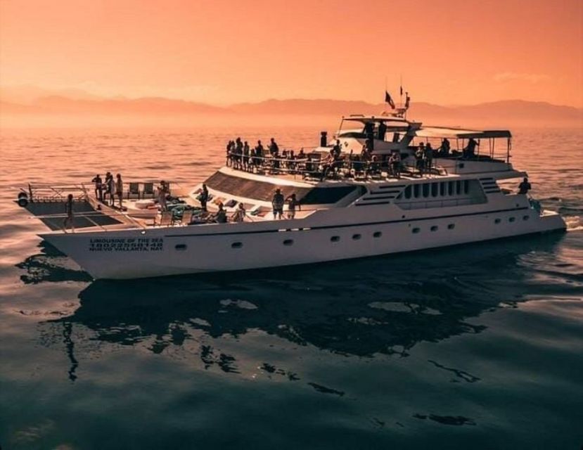 Puerto Vallarta: Mega Yacht Whale Watching Sunset Cruise - Getting On Board: Check-In Options and What to Expect Right Away