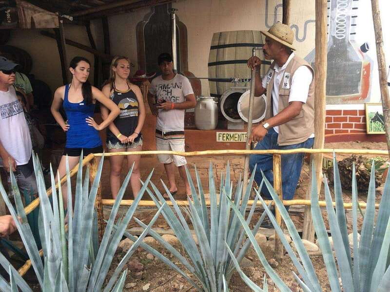 Puerto Vallarta: Predator ATV & Tequila Tour - Into the Hills: Jungle Roads and That Movie-Terrain Feeling