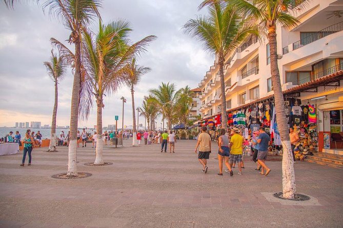 Puerto Vallarta Private Art Tour - Meeting Point Made Simple (And Easy to Reach)