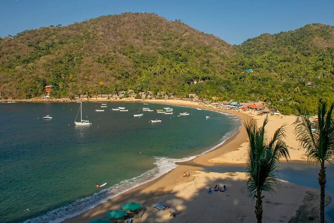 Puerto Vallarta: Private Yelapa Beach & Snorkel Tour on a Yacht - Onboard Comfort: Open Bar, Snacks, WiFi, and Snorkeling Gear