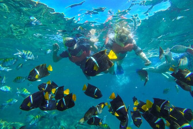 Puerto Vallarta: Private Yelapa Beach & Snorkel Tour on a Yacht - Timing and Pacing Back to Marina Vallarta