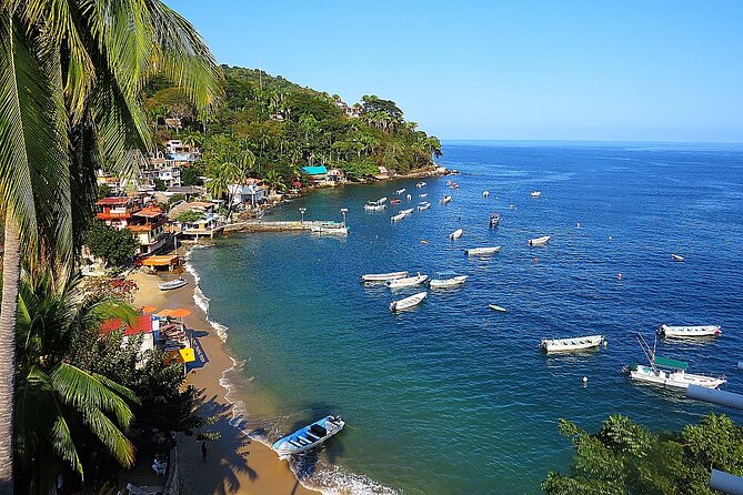 Puerto Vallarta: Private Yelapa Beach & Snorkel Tour on a Yacht - The Coast Cruise: Photos, the Malecon, and the Crown Church