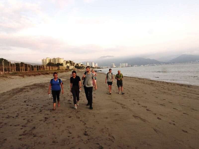 Puerto Vallarta: Sea turtle release at Sunset - Sea turtle release at sunset: why this timing is special in Puerto Vallarta