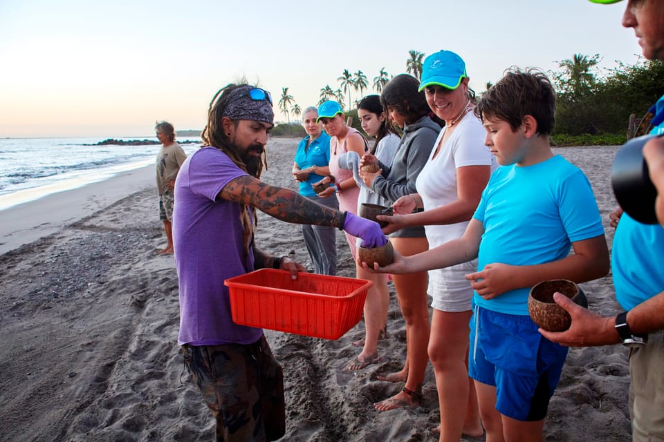 Puerto Vallarta: Sea turtle release at Sunset - Guided by a real team: what the guide style feels like