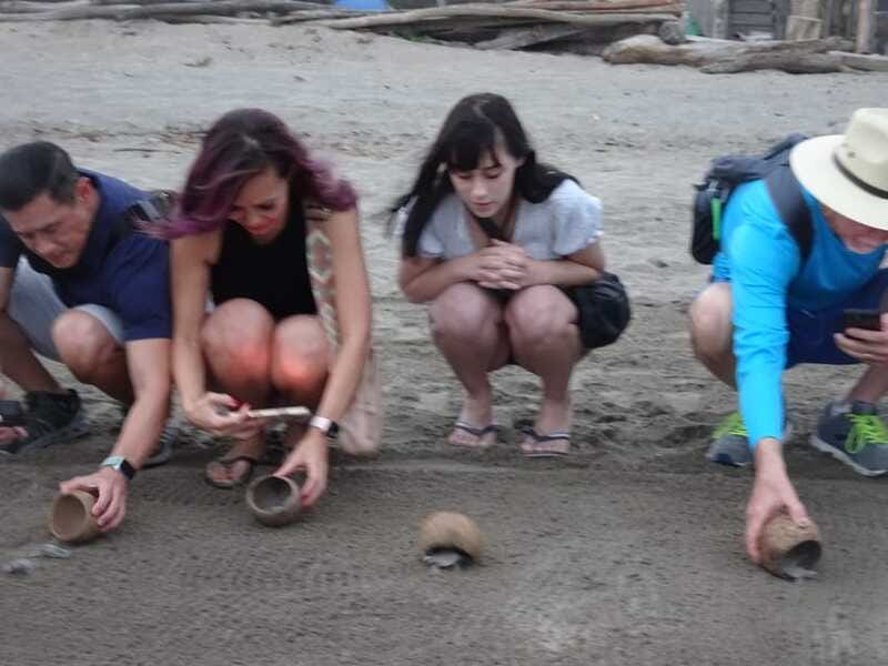 Puerto Vallarta: Sea turtle release at Sunset - What to bring (and what to skip) for a smooth sunset release