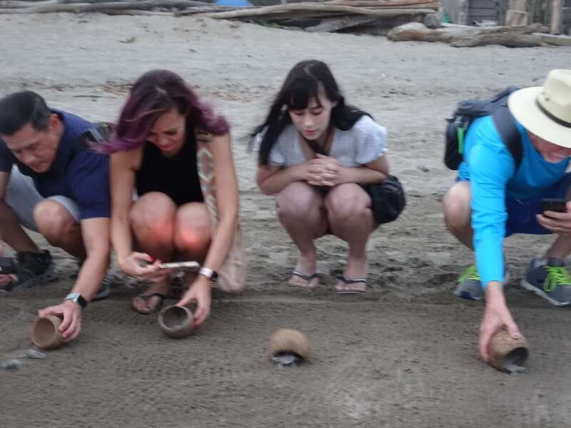 Puerto Vallarta: Sea turtle release at Sunset - From ECOTOURS VALLARTA to the marina: the flow that keeps it smooth