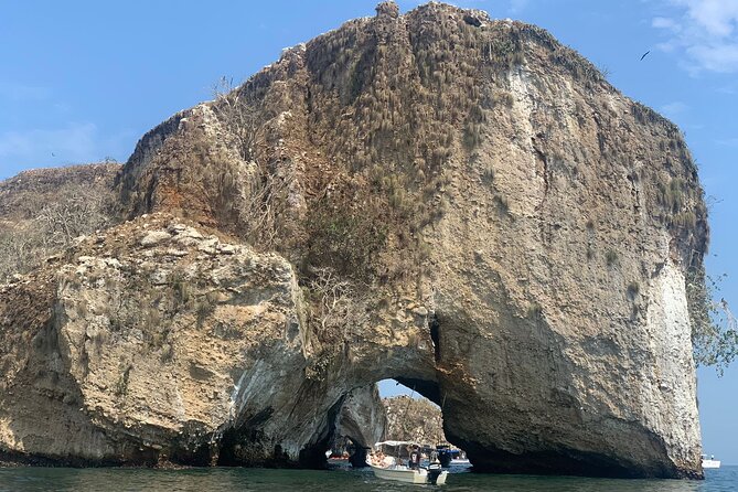 Puerto Vallarta snorkel tour at Los Arcos - When conditions change: jellyfish, visibility, and the backup plan