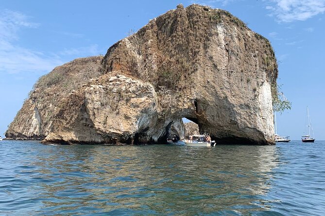 Puerto Vallarta snorkel tour at Los Arcos - Wildlife you can hope for: fish, rays, turtles, and whales (seasonal)