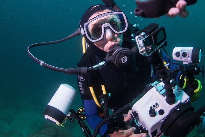 Puerto Vallarta Undersea Private Scuba Diving - A private SCUBA day from Marina Vallarta, with real attention on you