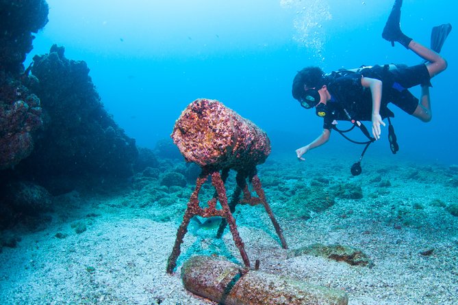 Puerto Vallarta Undersea Private Scuba Diving - Los Arcos de Mismaloya: rocky reefs, wildlife spotting, and a captain who watches