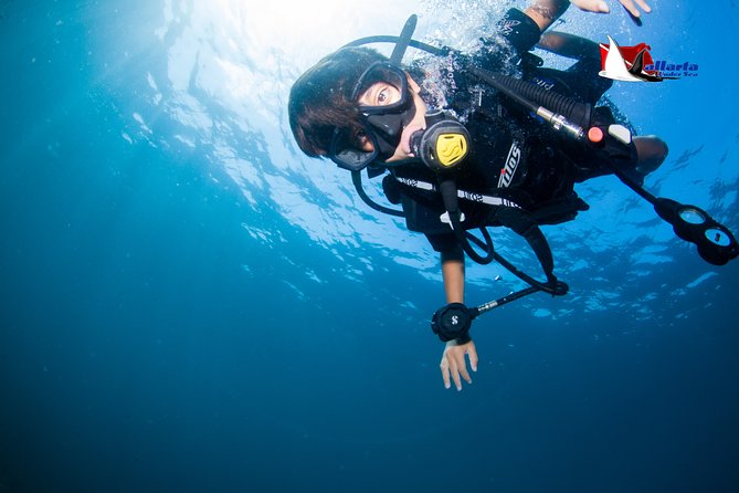 Puerto Vallarta Undersea Private Scuba Diving - Beginner-friendly pace: instruction that helps you stay relaxed