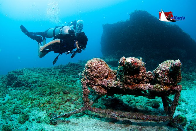 Puerto Vallarta Undersea Private Scuba Diving - How to plan your day so the water feels easy
