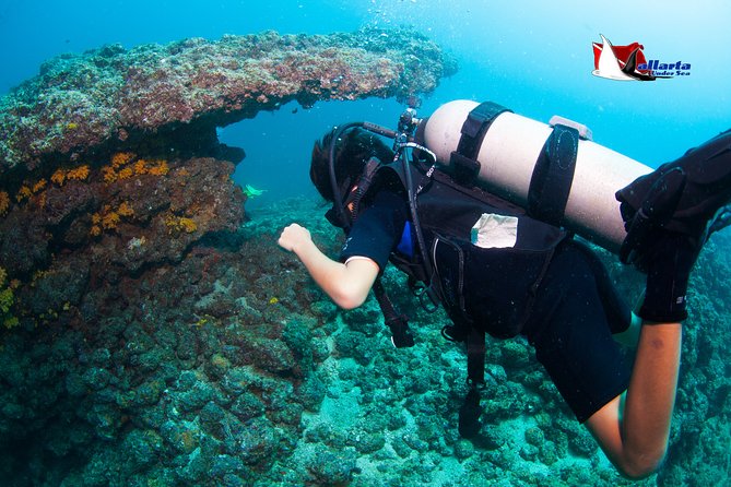 Puerto Vallarta Undersea Private Scuba Diving - Should you book this private Puerto Vallarta SCUBA day?