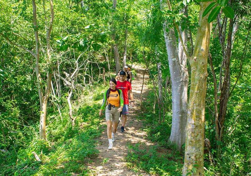 Puerto Vallarta: Walking Tour to Glass ViewPoint Jorullo - A 5-hour day with a 2-hour hike on purpose
