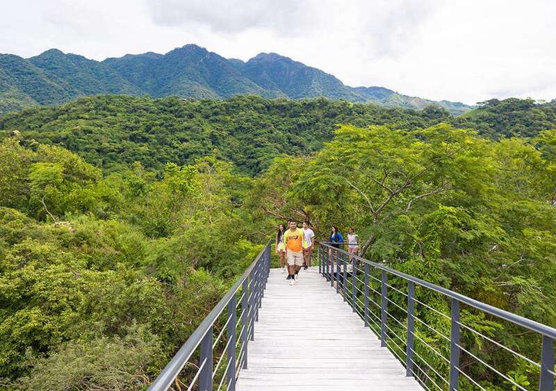 Puerto Vallarta: Walking Tour to Glass ViewPoint Jorullo - Price and value: is $159 worth it for your style?