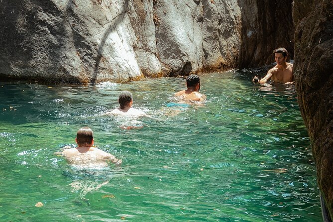 Puerto Vallarta Waterfall Hike - What the Guides Add: Names You’ll Hear and Skills You’ll Feel