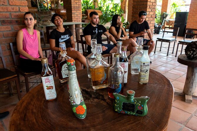 Puerto Vallarta Zipline, Mule ride and Jorullo Bridge Walking - Mule ride back up: why the last segment feels like a smart payoff