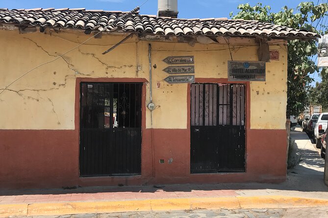 Puerto Vallarta's Historic Mexican Village Tour: El Tuito - Past the Town: Rolling Fields and Cattle Views