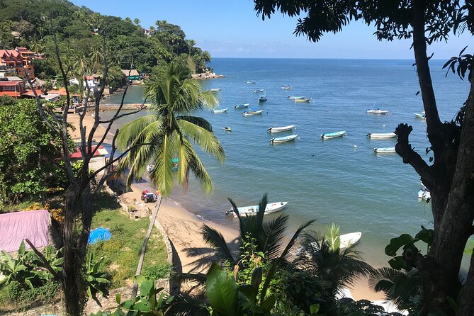 Puerto Vallarta's Yelapa Boat & Walking Tour - Starting at Lazaro Cárdenas Park with a clear, full-day plan