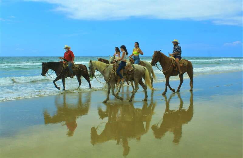 Punta de Mita/Sayulita: Horseback Riding Tour - Who this tour is best for (and who should skip it)