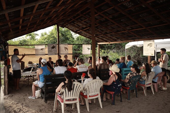 Release of Sea Turtles in Camp Tortuguero - Safety and Protocols: Why This Feels Responsible