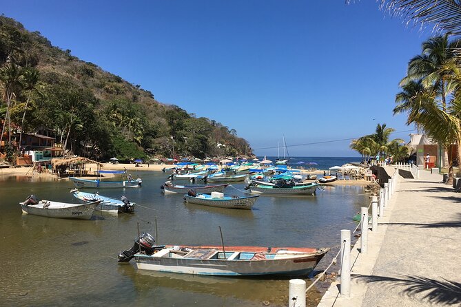 Remote Hidden Beaches Hike of South Shore (Puerto Vallarta) - Boca de Tomatlán: the town walk, the footbridge crossing, and the start of the real hike