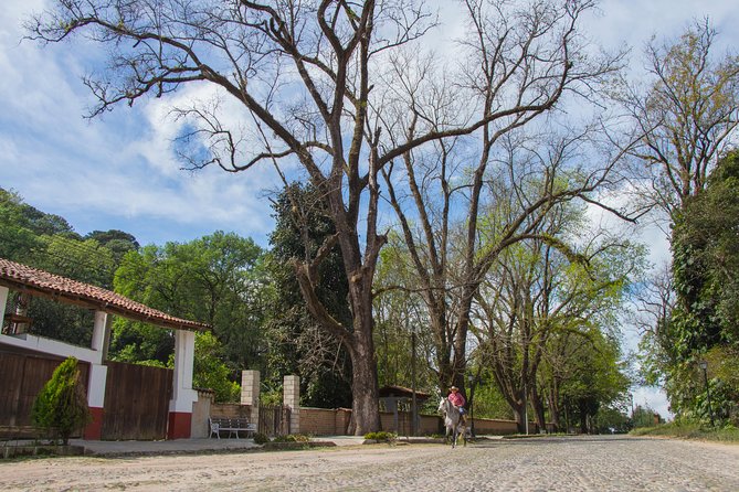 San Sebastian del Oeste - Price and value: is $99 a fair deal?