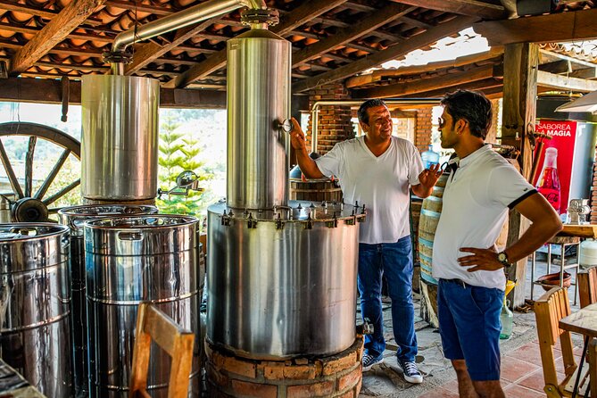 San Sebastian Del Oeste: Private Day Trip from Puerto Vallarta - Your free hour in Centro: slow down and actually look