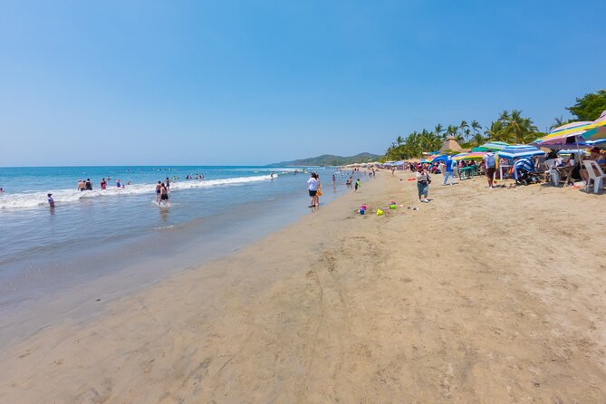 Sayulita And San Pancho Beachs Tour - Sayulita downtown walk: surf culture plus a guided route