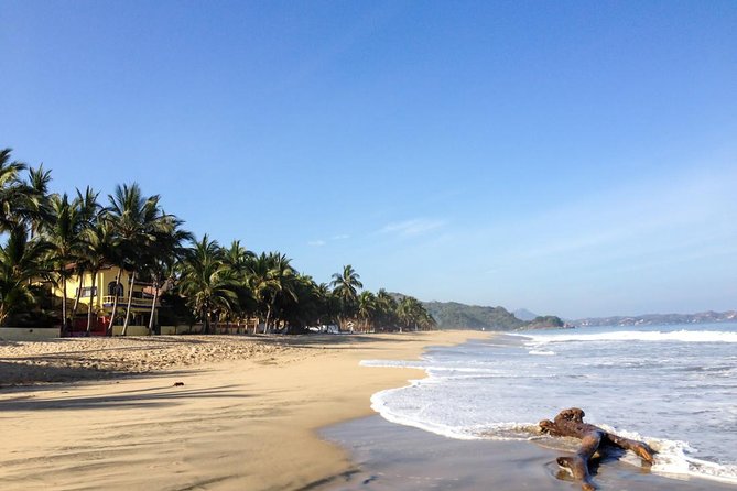 Sayulita And San Pancho Beachs Tour - Getting to the towns: pickup convenience vs. traffic reality