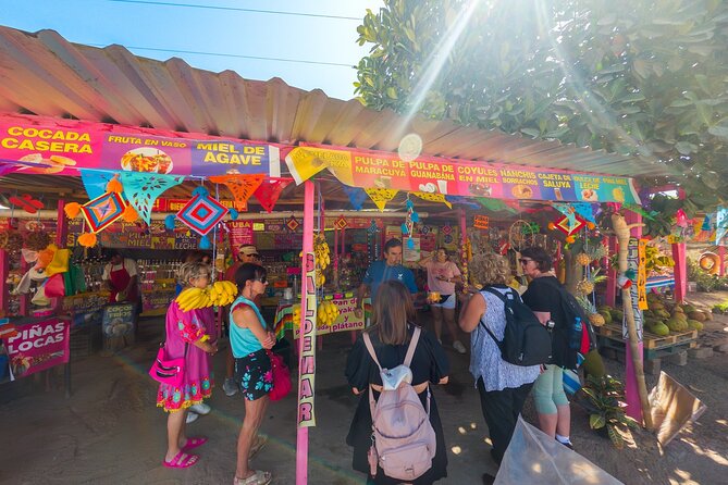 Sayulita and San Pancho Tour - Rancho la Chaparrita: ranch setting, animals, and schedule tension