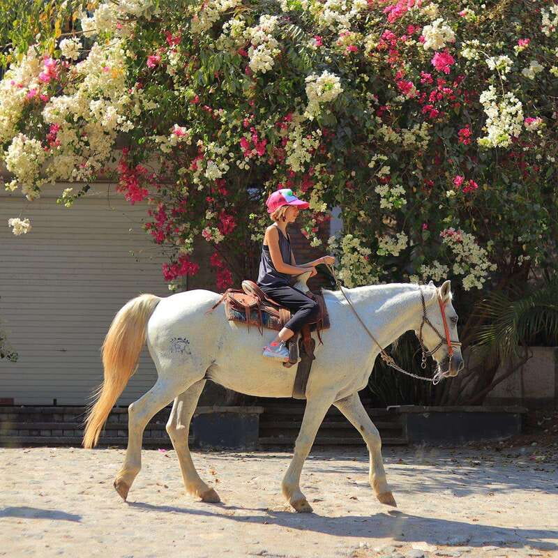 Sayulita: Horseback Riding Tour - The 1-Hour vs 2-Hour Ride: What You Actually Gain