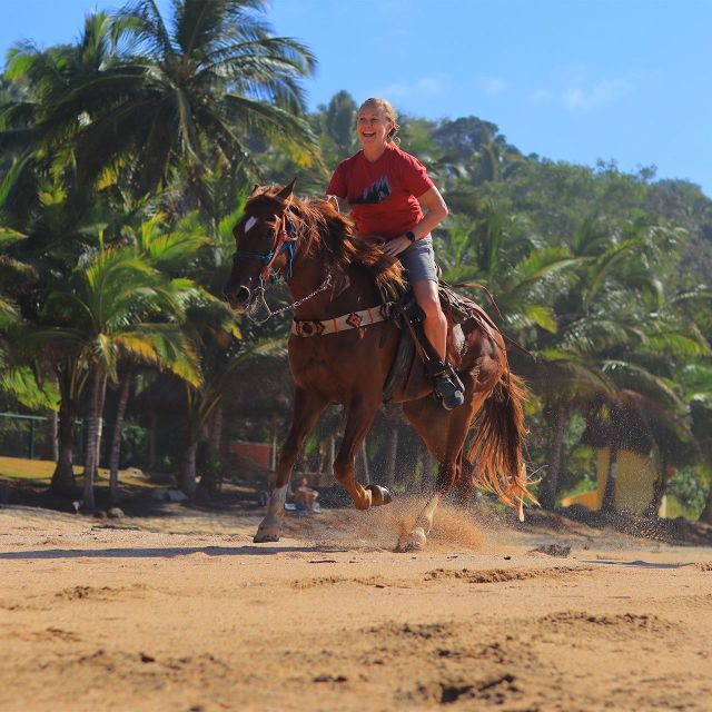 Sayulita: Horseback Riding Tour - Riding Through the Jungle: Shade, Sounds, and Calm Control