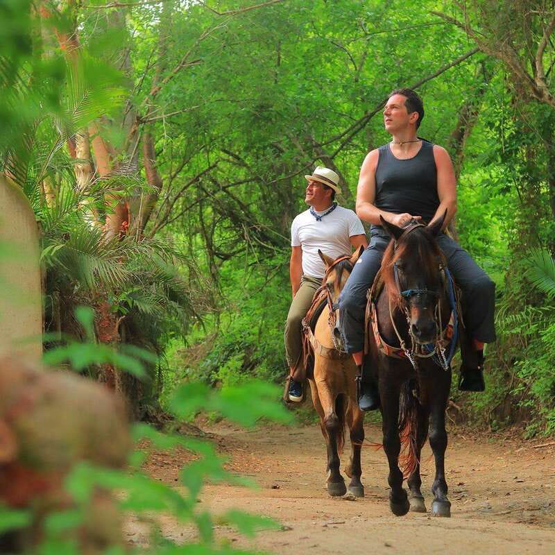 Sayulita: Horseback Riding Tour - Getting Matched to a Horse (and Why That Matters)