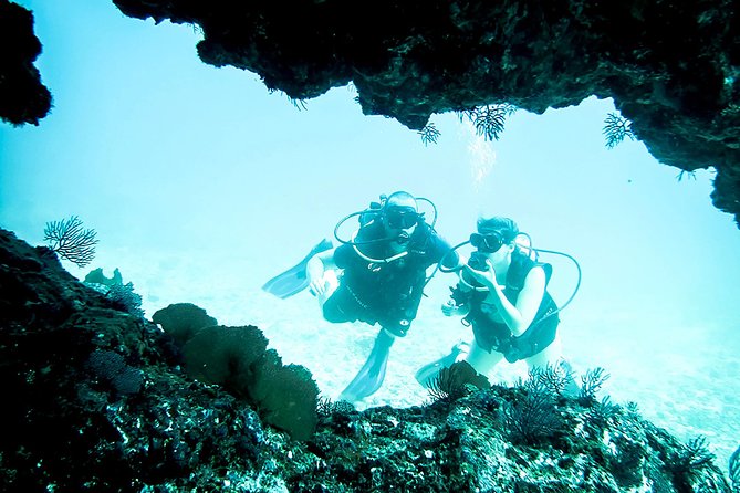 Scuba Diving Marietas Islands - Price and Value: What $195.71 Actually Covers
