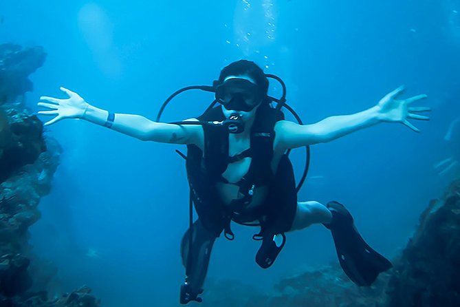 Scuba Diving Marietas Islands - The 7-Person Cap: How Small Groups Change Your Underwater Experience