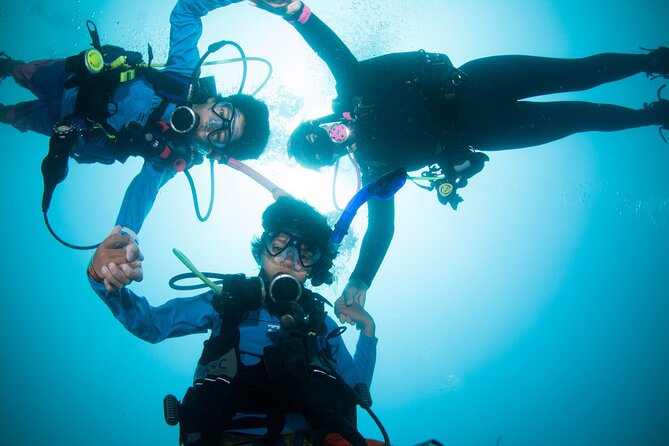 Scuba Diving Puerto Vallarta Undersea Arcos or Marietas - Wildlife Chances in Banderas Bay: Why the Boat Ride Matters
