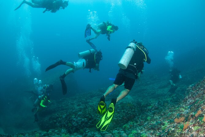 Scuba Diving Puerto Vallarta Undersea Arcos or Marietas - Price and Value: What the $125 Covers (and What Might Be Extra)
