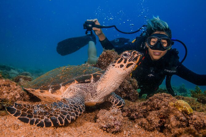 Scuba Diving with a 5-Star PADI Center in Puerto Vallarta - The big rule: you need the right certification (and it needs to be current)