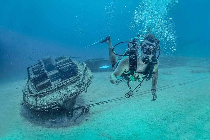 Scuba Diving with a 5-Star PADI Center in Puerto Vallarta - Las Caletas: coves and reef life with a strong chance of wildlife