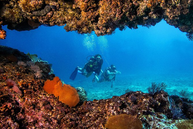 Scuba Diving with a 5-Star PADI Center in Puerto Vallarta - Los Arcos National Marine Park: Devil’s Canyon and El Bajo
