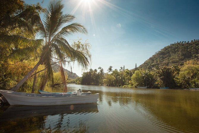 Sea Safari & Beach BBQ at secluded Pizota jungle beach - Speedboat time: cruising the Bay of Banderas without a long bus slog