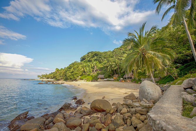 Sea Safari & Beach BBQ at secluded Pizota jungle beach - Pizota jungle beach BBQ: the secluded payoff you came for