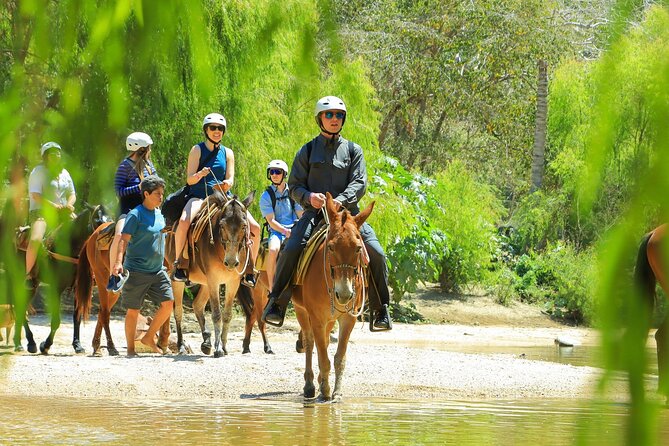 Sea Safari & Beach BBQ at secluded Pizota jungle beach - Who should book (and who should skip) this Sea Safari