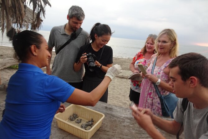 Sea Turtle Release – A Puerto Vallarta Conservation Adventure - From Ecotours Vallarta to the first turtle lesson at 5:00 PM